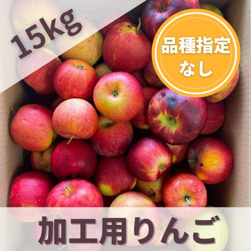 加工用りんご【品種指定なし】15キロ 大きな傷、生傷、極小りんご