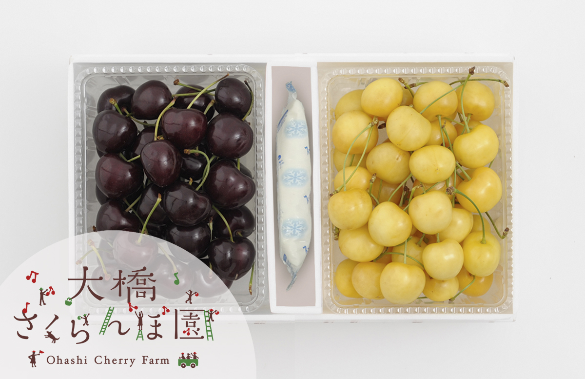 297fbdd70111d101993f5e3c49bbe1