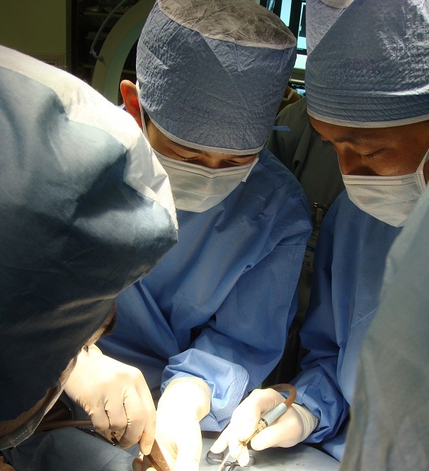 手術案内|さいたま市大宮区のおおた動物病院