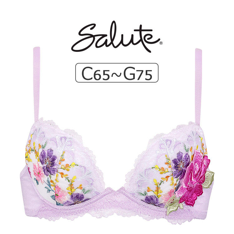 BTJ293｜ワコール サルート 93G リフトアップタイプ ブラジャー単品