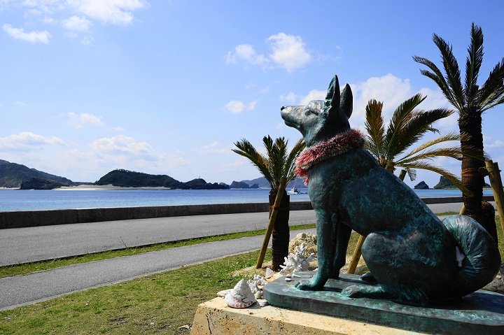 GREEN RIDE利用！ケラマブルーを堪能する座間味島の自転車旅 | よみ