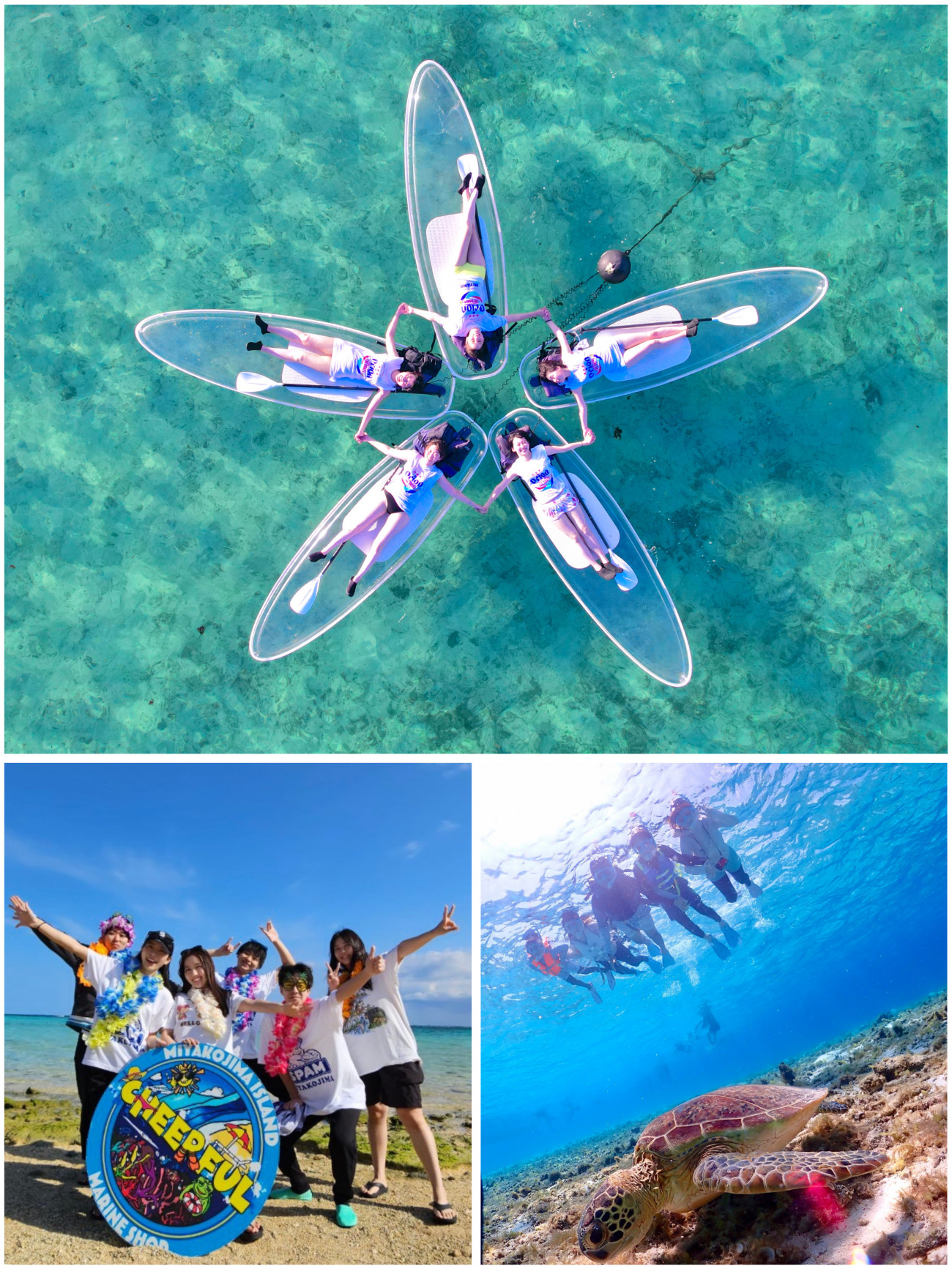 クリアサップ＆シュノーケリングツアー | 沖縄観光情報WEBサイト