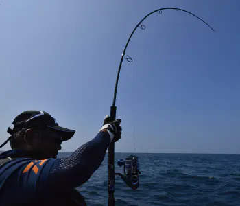 ソルティガ エアポータブル C85XHS - 48,700円 : 海釣り、船釣り専門店