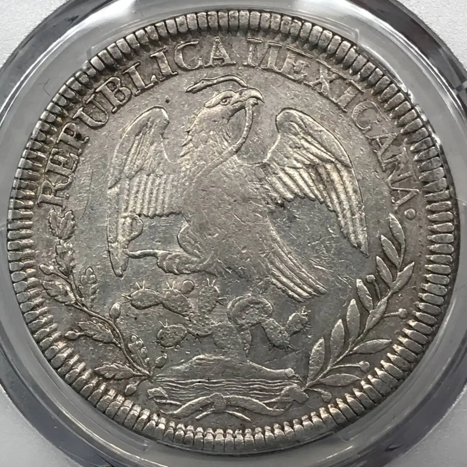 最初期・シリアル18】Rocky Mount Circle Z's Drive 最初期・シリアル