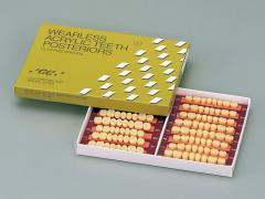 ウェアレスレジン 臼歯 − 製品情報｜OralStudio オーラルスタジオ