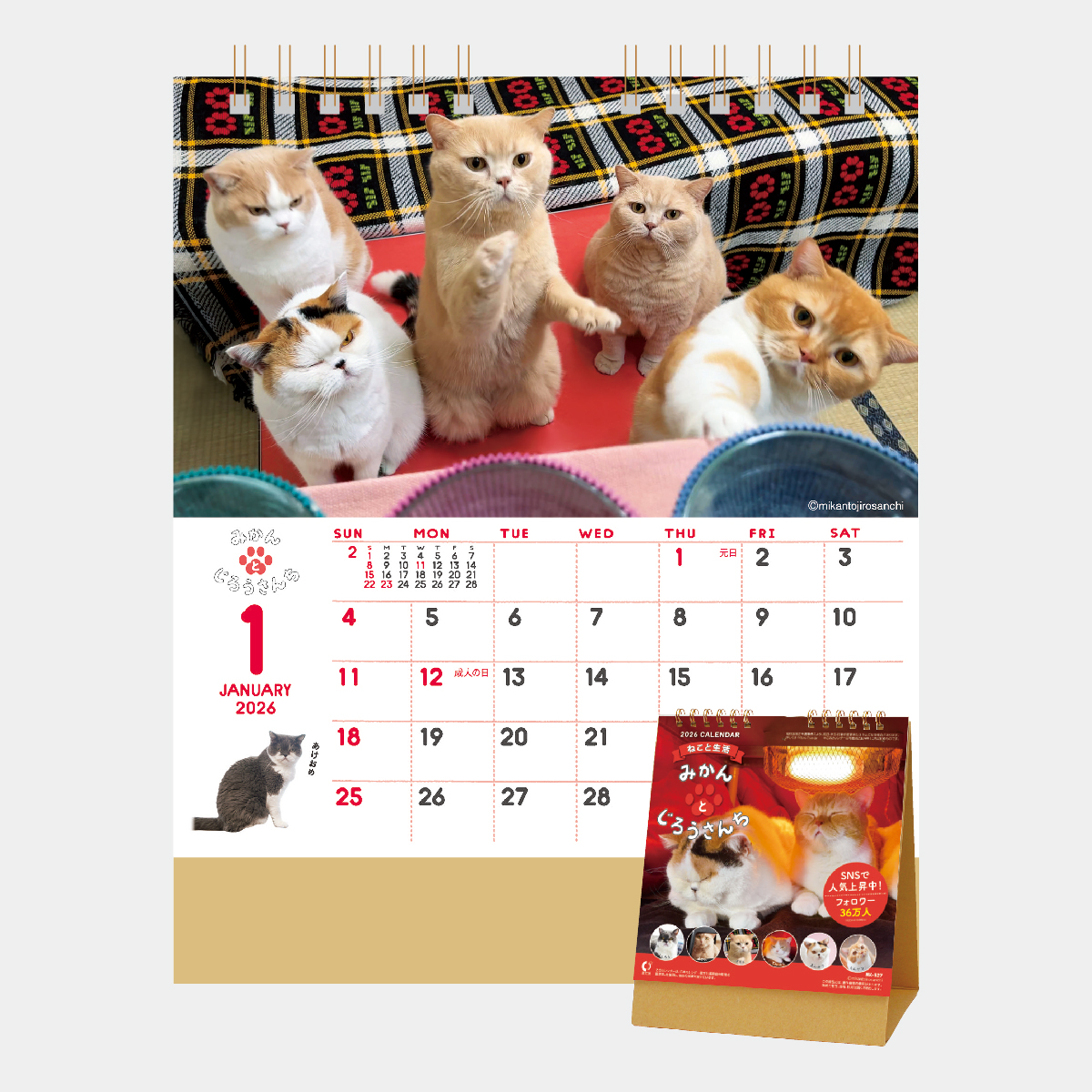 NK-527 ねこと生活 みかんとじろうさんち2026年版の名入れカレンダーを