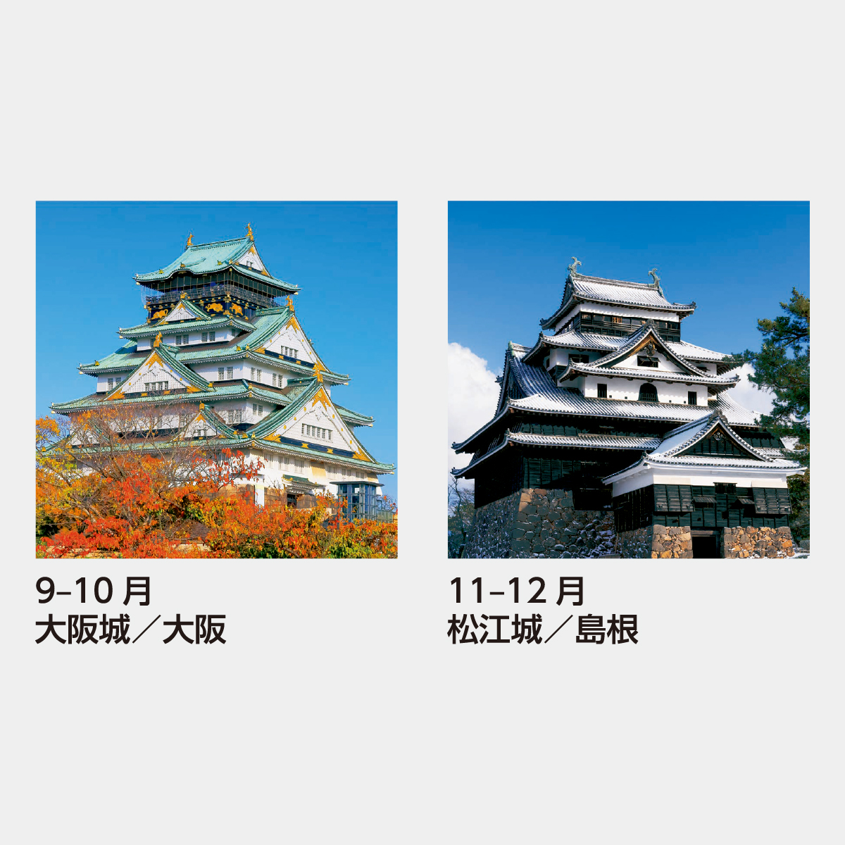 SB-251 【フィルム】日本の名城2026年版の名入れカレンダーを格安で