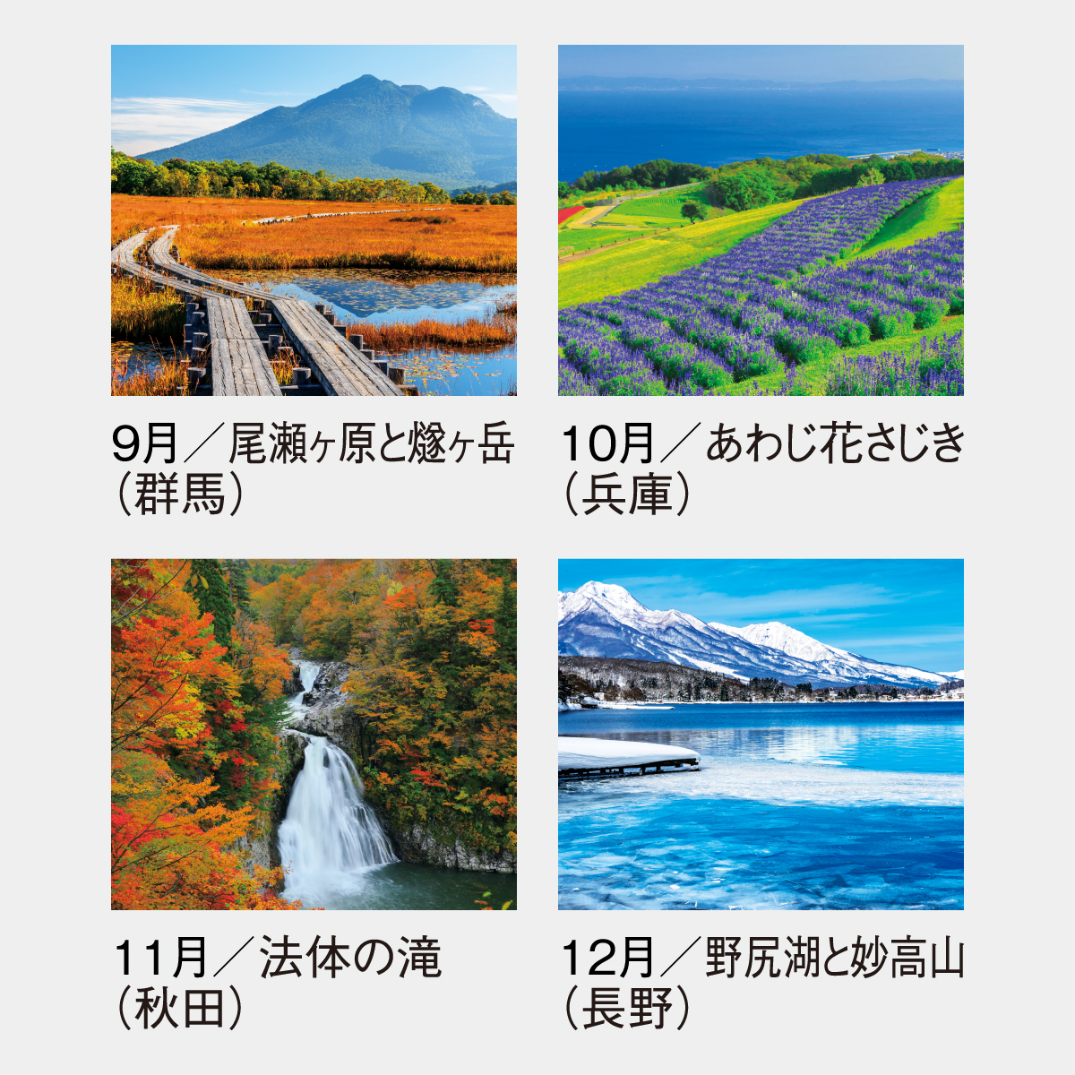 SG-258 観光数字月表2026年版の名入れカレンダーを格安で販売 - 名入れ