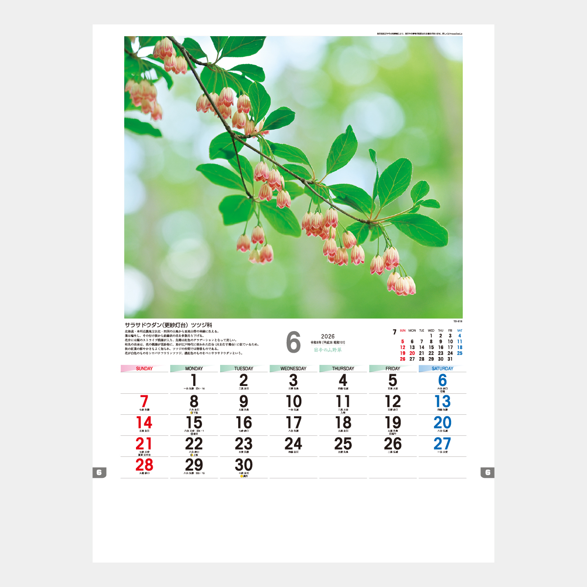 TD-818 日本の山野草2026年版の名入れカレンダーを格安で販売 - 名入れ