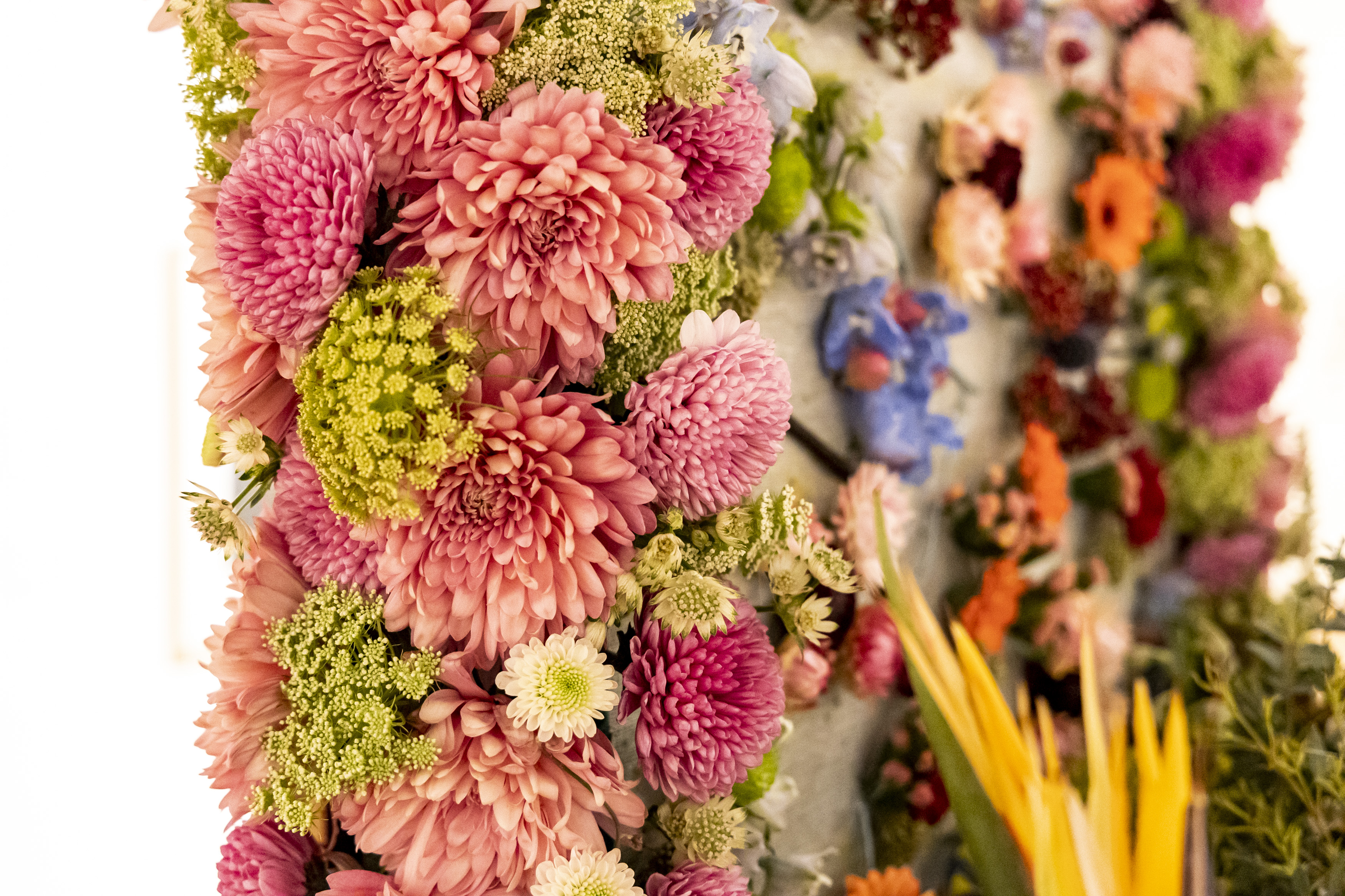 Art in Bloom flourishes with florals this weekend at Orlando