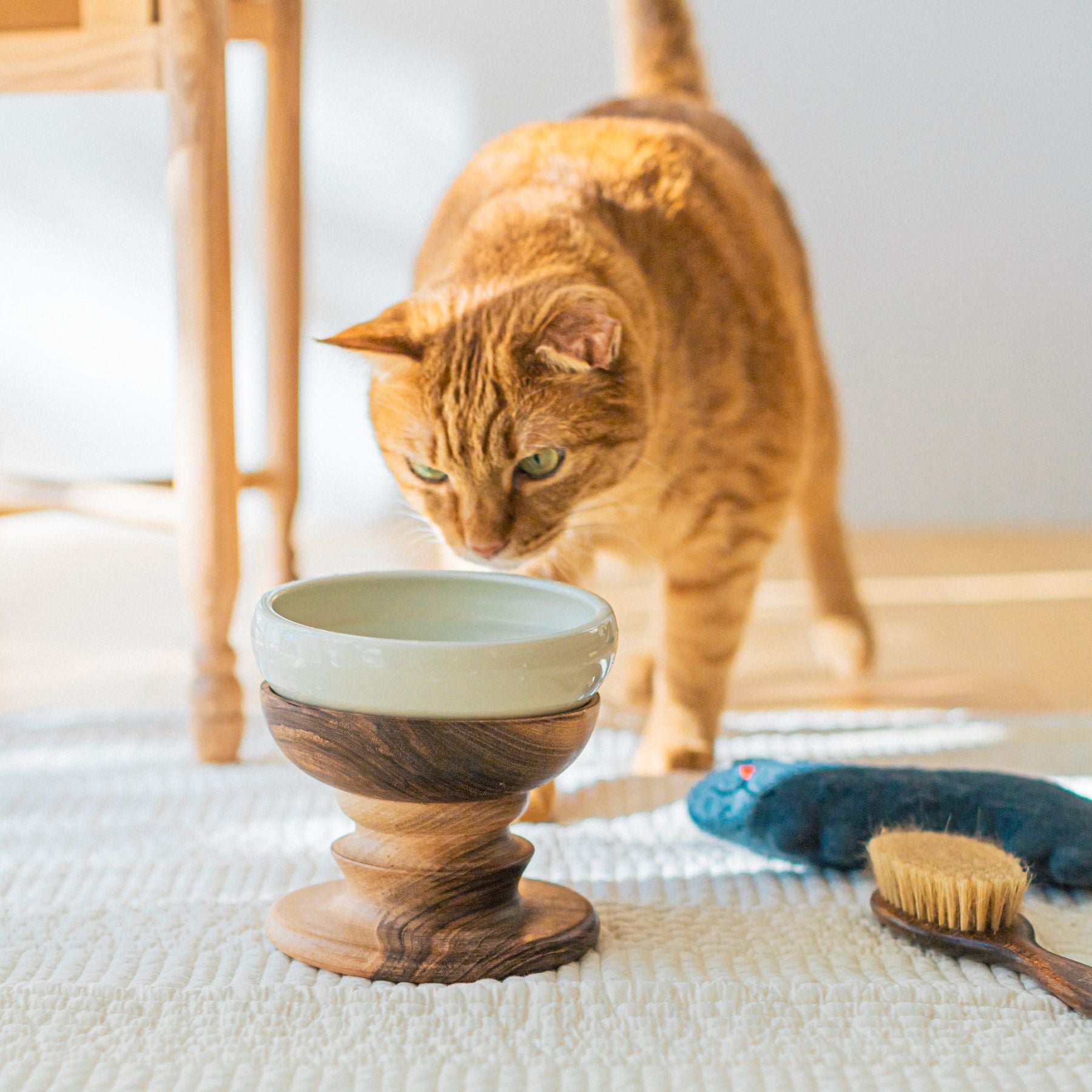 オルネコのinstagram 紹介アイテム | オルネコ | オルネ ド フォイユ