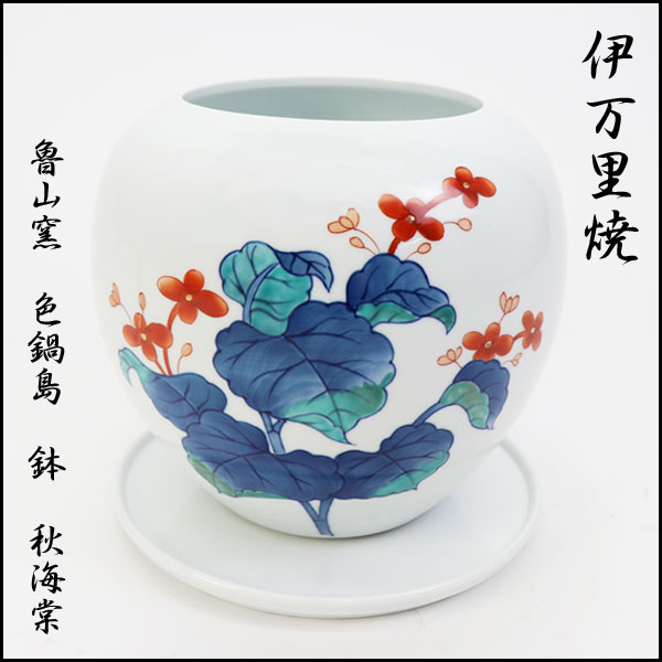 伊万里焼】 魯山窯 色鍋島 鉢 秋海棠｜仕入れなら卸問屋.com