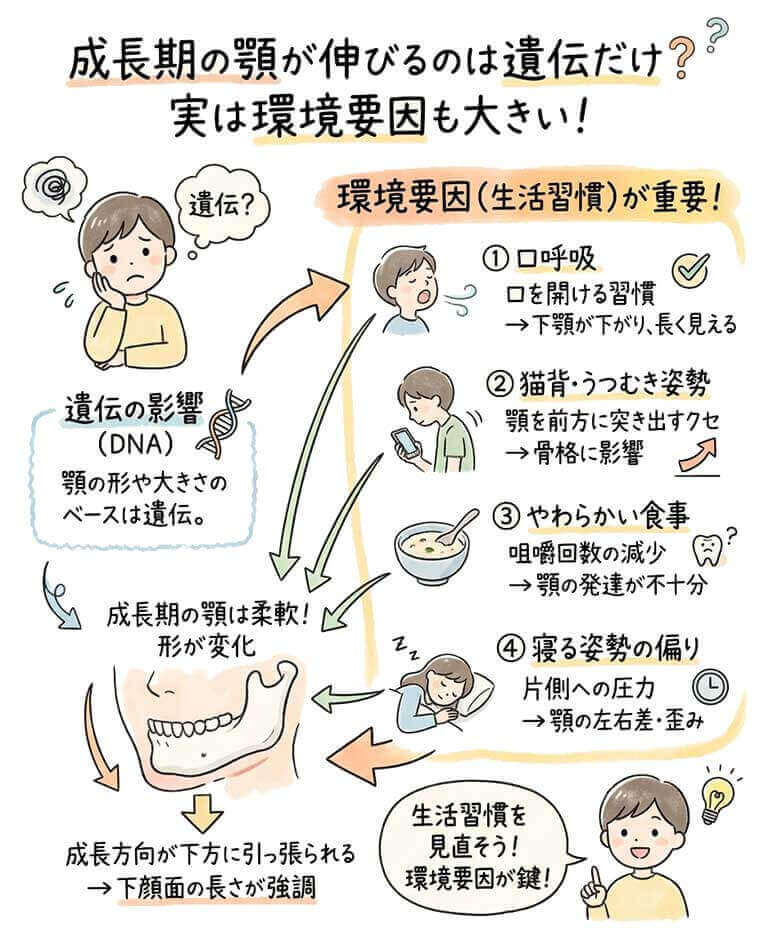 顎が長くなる原因とは？顔の印象を左右する要因と対策｜大阪矯正歯科