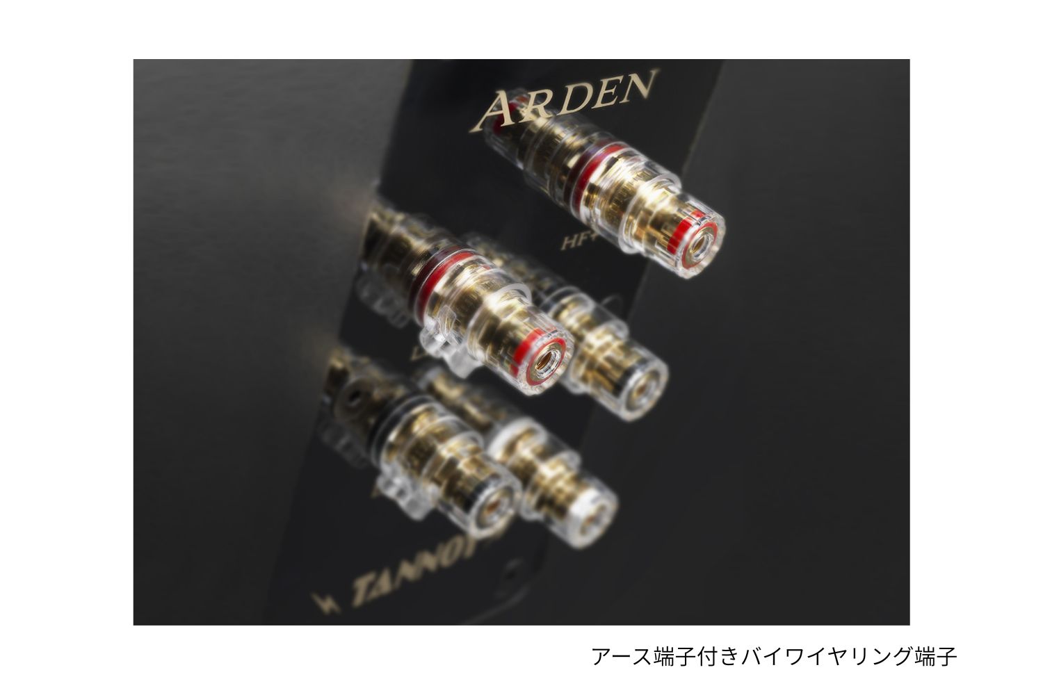 TANNOY/スピーカー/ARDEN（ペア）のご紹介です。