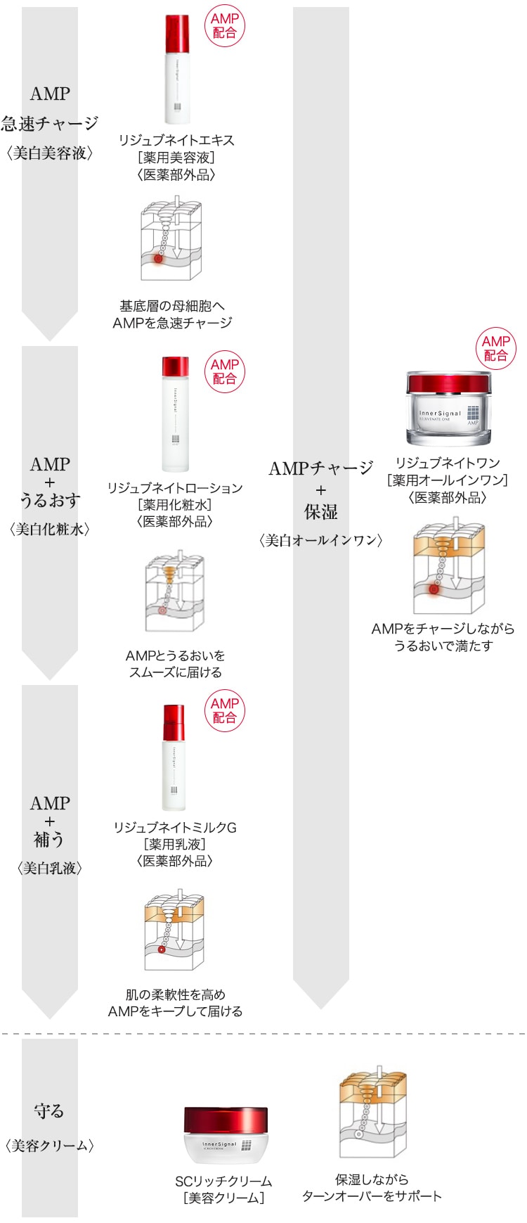 インナーシグナル誕生秘話（3）（SP)｜【大塚製薬の公式通販】オオツカ