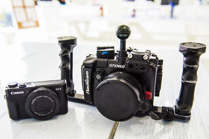 キヤノン PowerShot G7 X Mark II の水中撮影 | ワールドダイビング