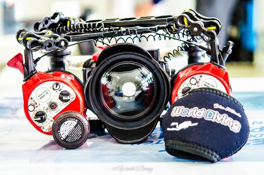 OLYMPUS・オリンパス TG6水中撮影 | ワールドダイビング