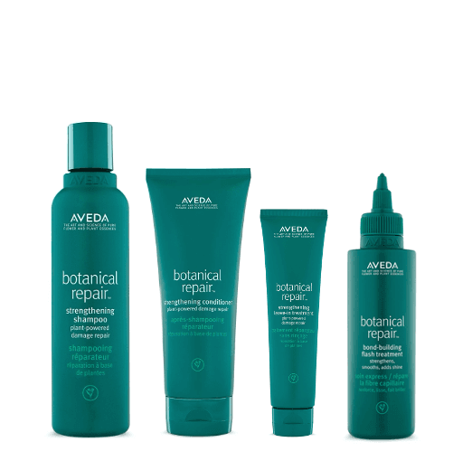 Aveda Botanical Repair™ Strengthening Shampoo and Conditioner