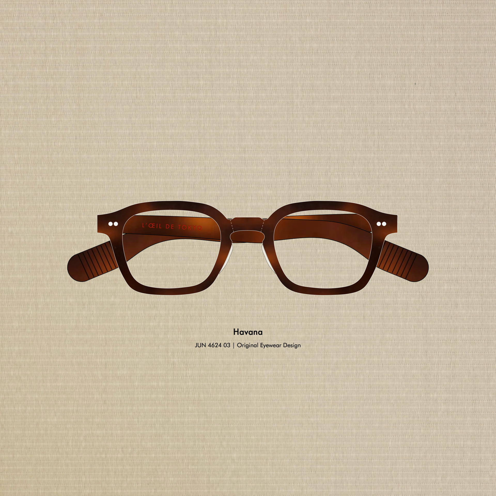 モデル: JUN V3 | メガネ