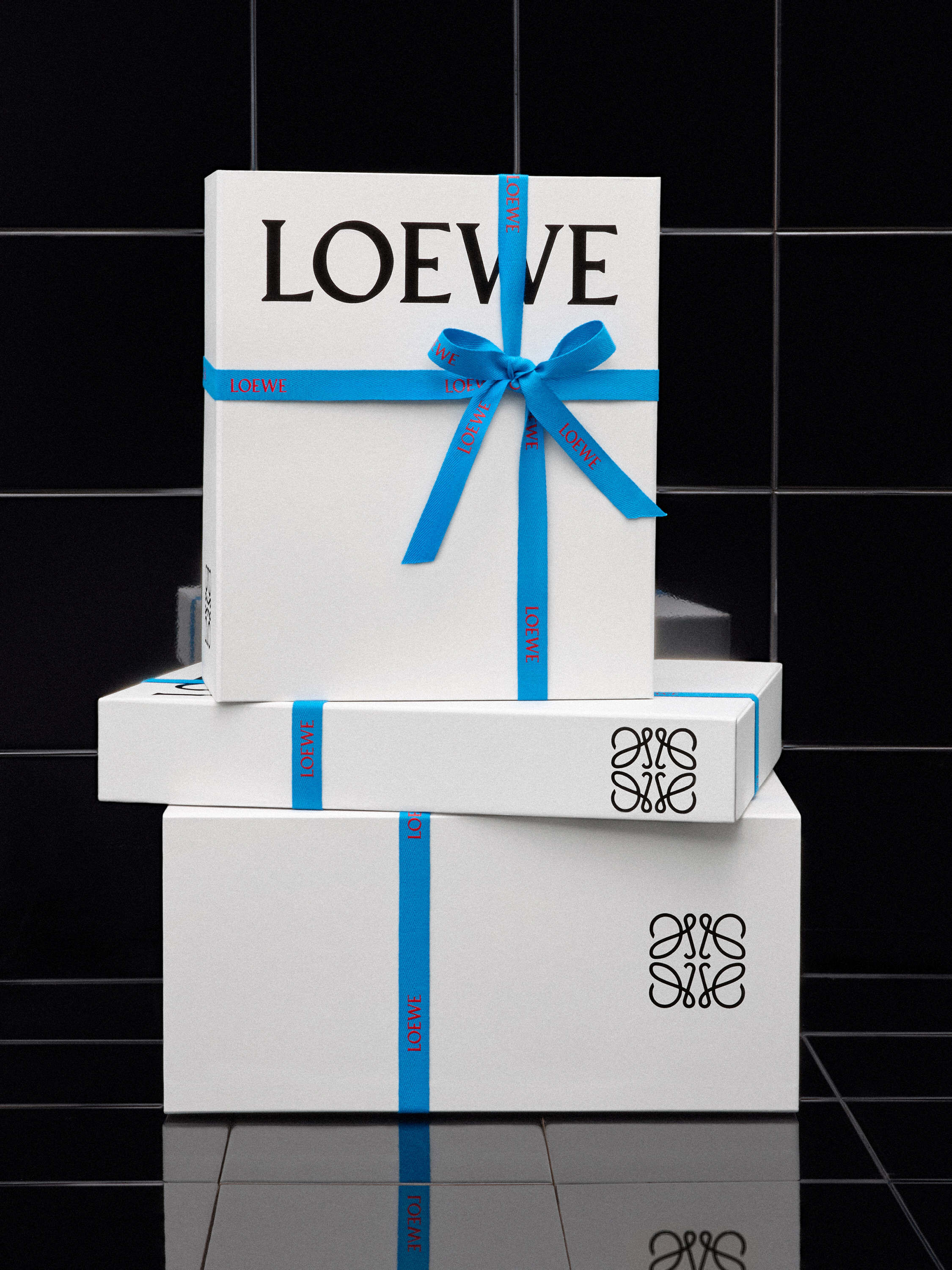 LOEWE_2026_NEW_PACKAGING_sRGB_