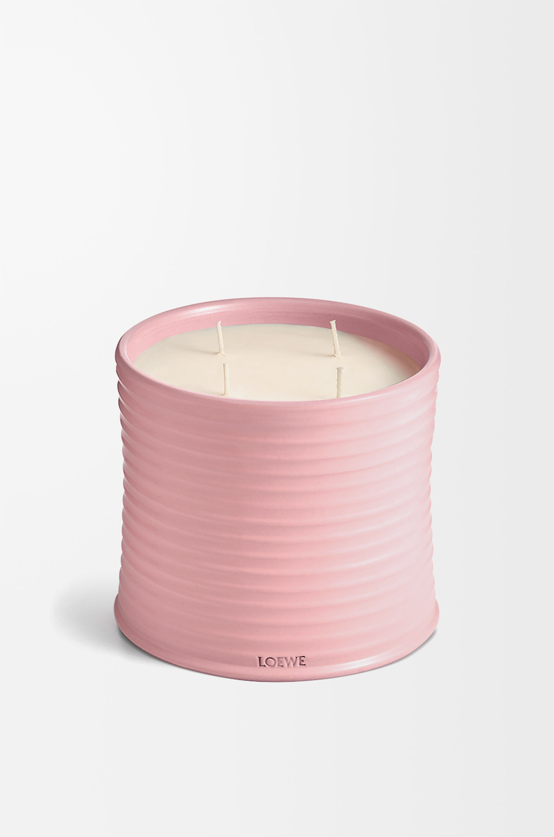 アイビー キャンドル ラージ ピンク - LOEWE Japan official website