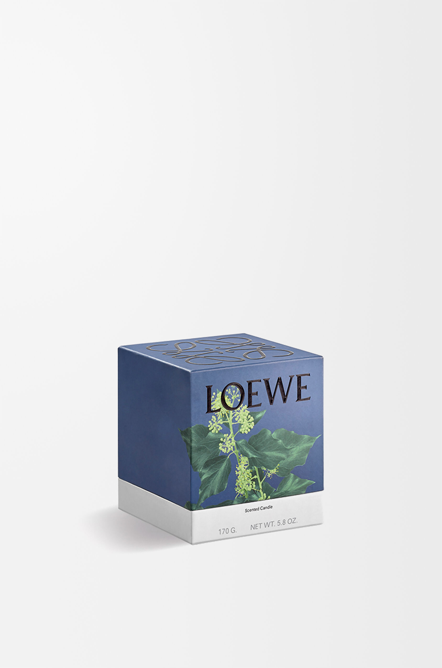 アイビー キャンドル スモール ピンク - LOEWE Japan official website