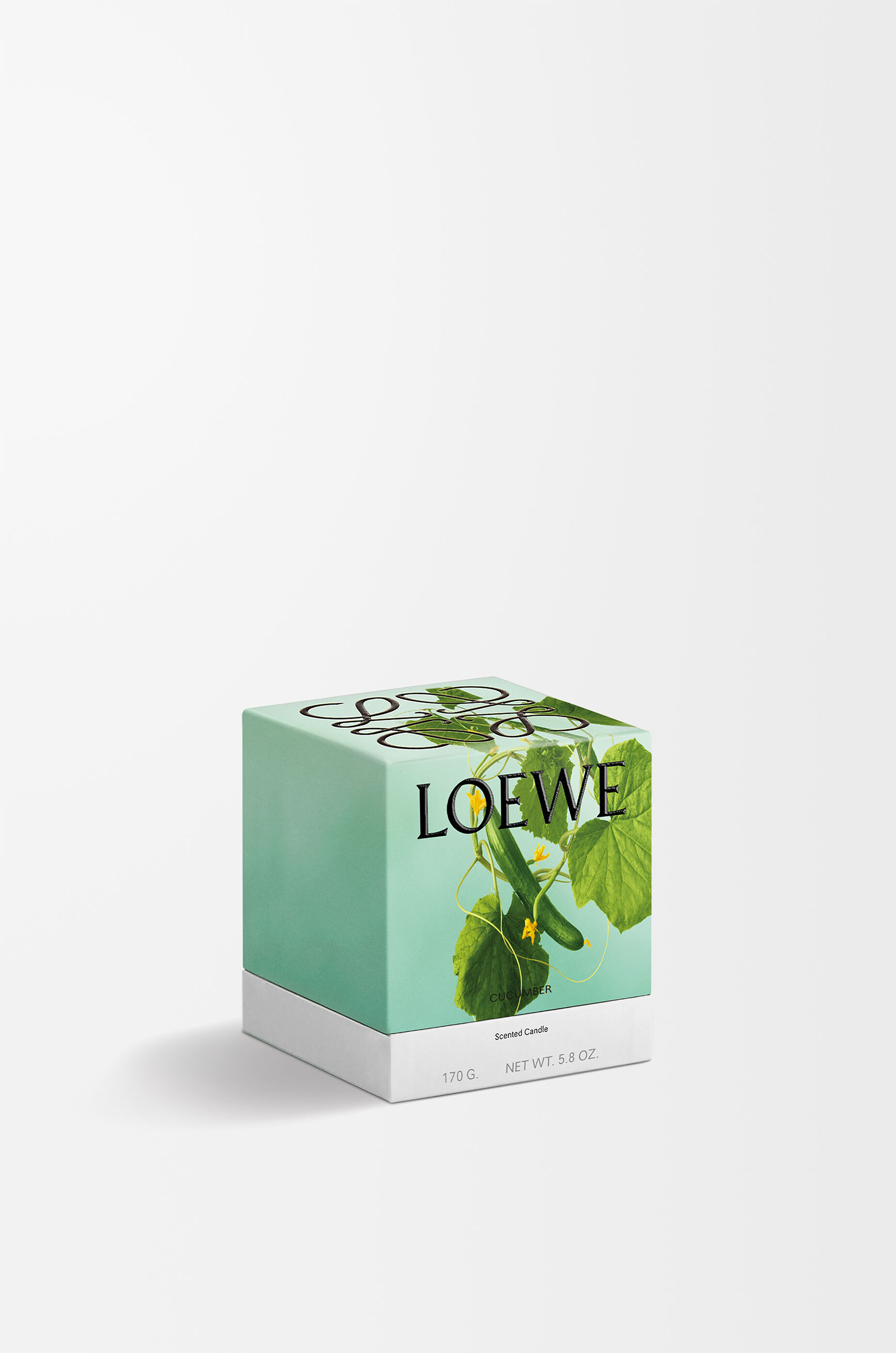 キューカンバー キャンドル スモール グリーン - LOEWE Japan official