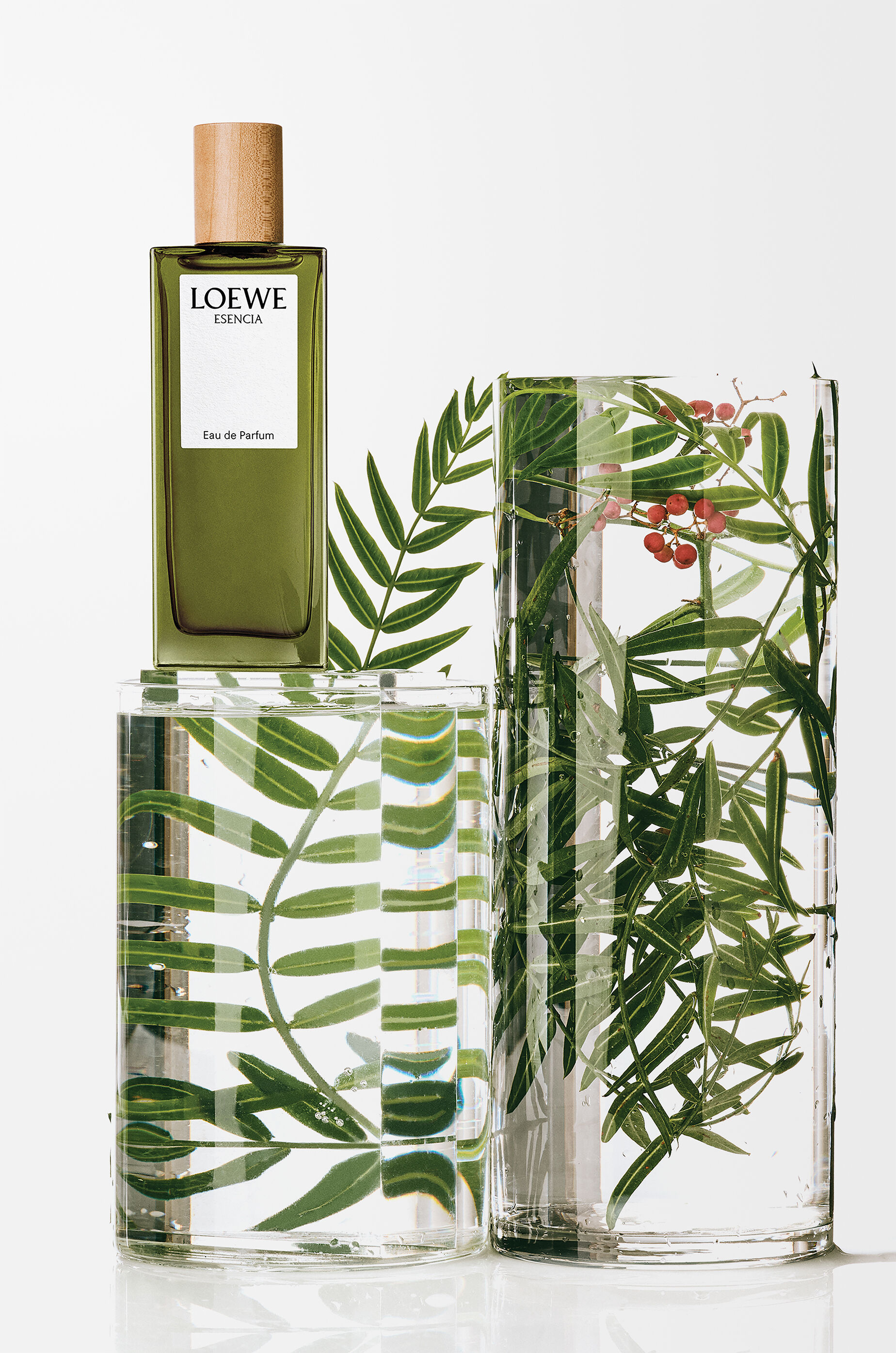 ロエベ エセンシア オードゥ パルファム 50ml 無色 - LOEWE Japan