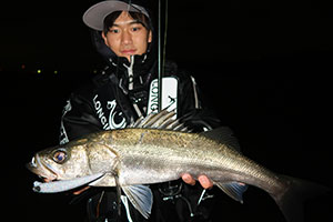 LONGIN PRODUCTS SUPER UV GINGIRA UVLAME