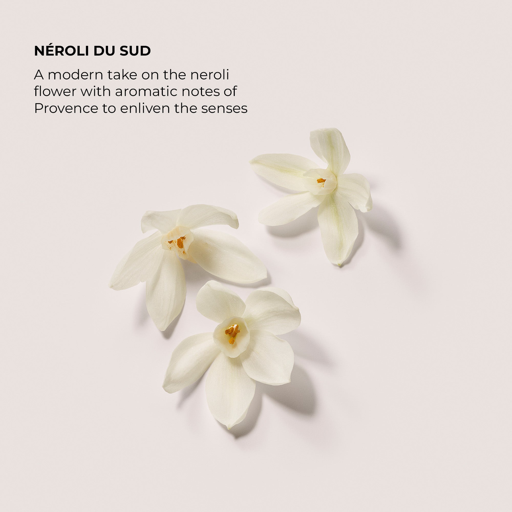 Neroli du Sud Serum-Infused Body Lotion | Laura Mercier