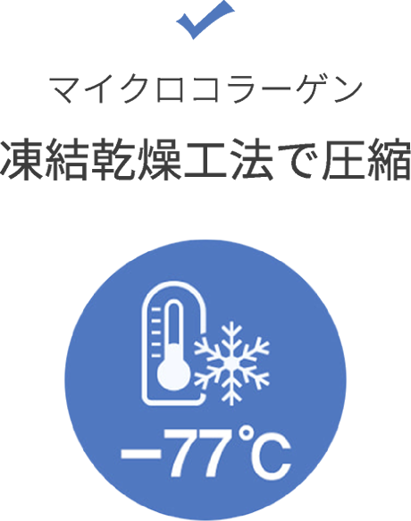 コラーゲン プロフェッショナル プログラム | LAVIEN JAPAN