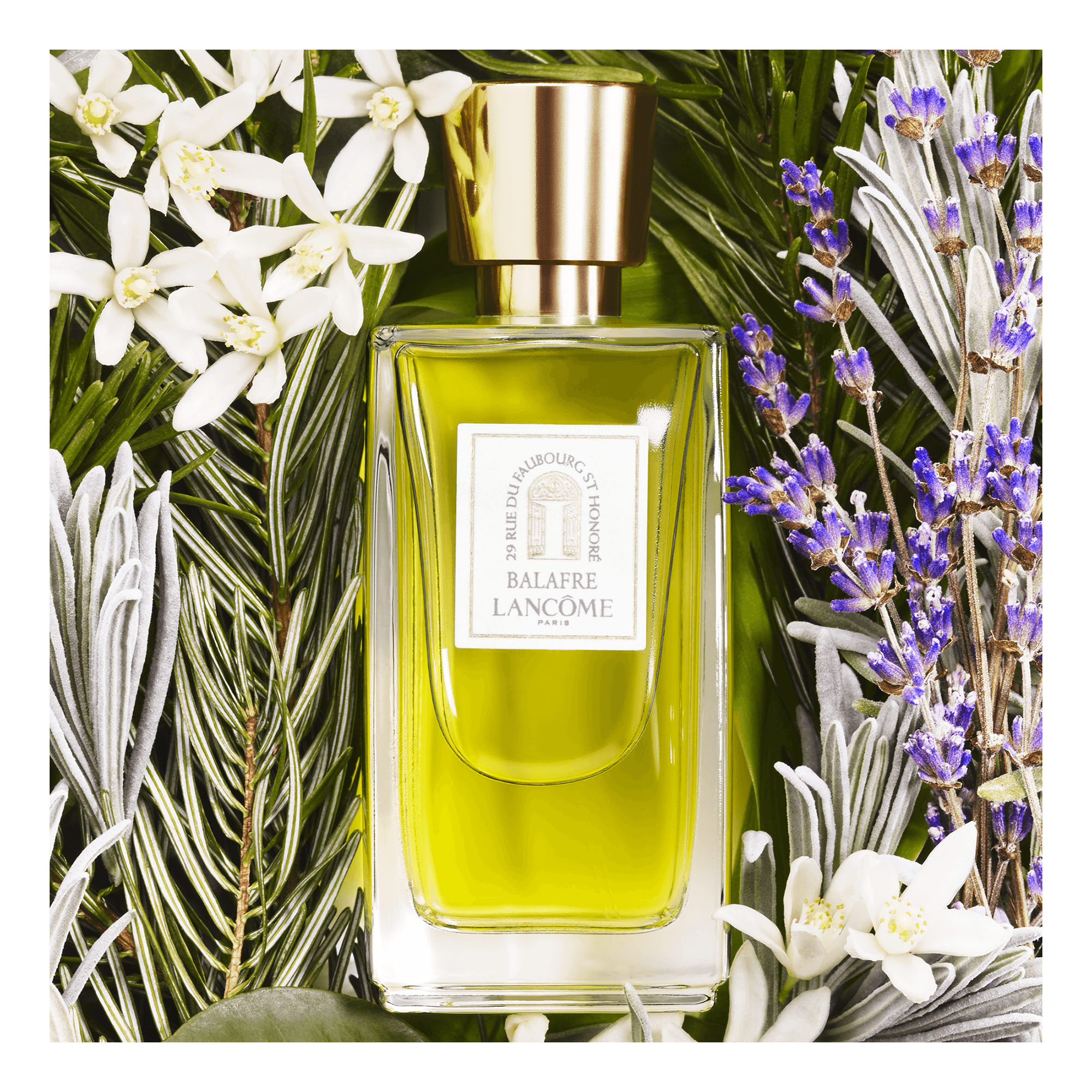 希少 LANCOME Balafre バラフレ プールオム EDT 120ml 希少 LANCOME