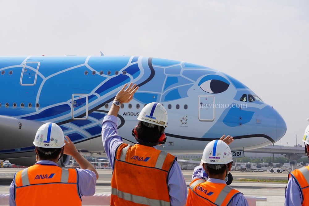 ANAのエアバスA380「フライングホヌ」が復活します！～8月に成田