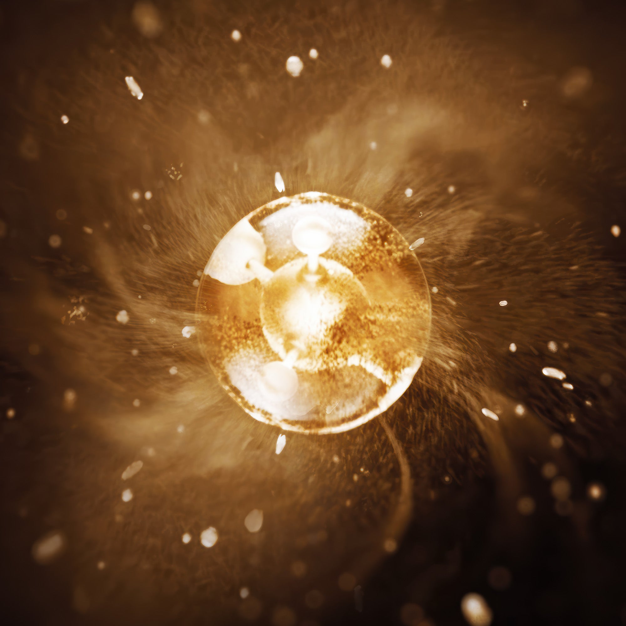 Pure Gold Radiance Cream 50ml – Densifying and nourishing cream