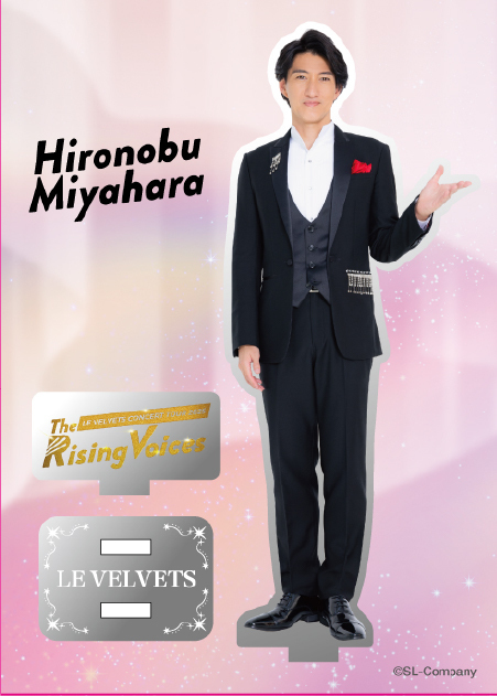 入手困難LE VELVETS TEATRO CLASICO メンバーサイン入り LE VELVETS