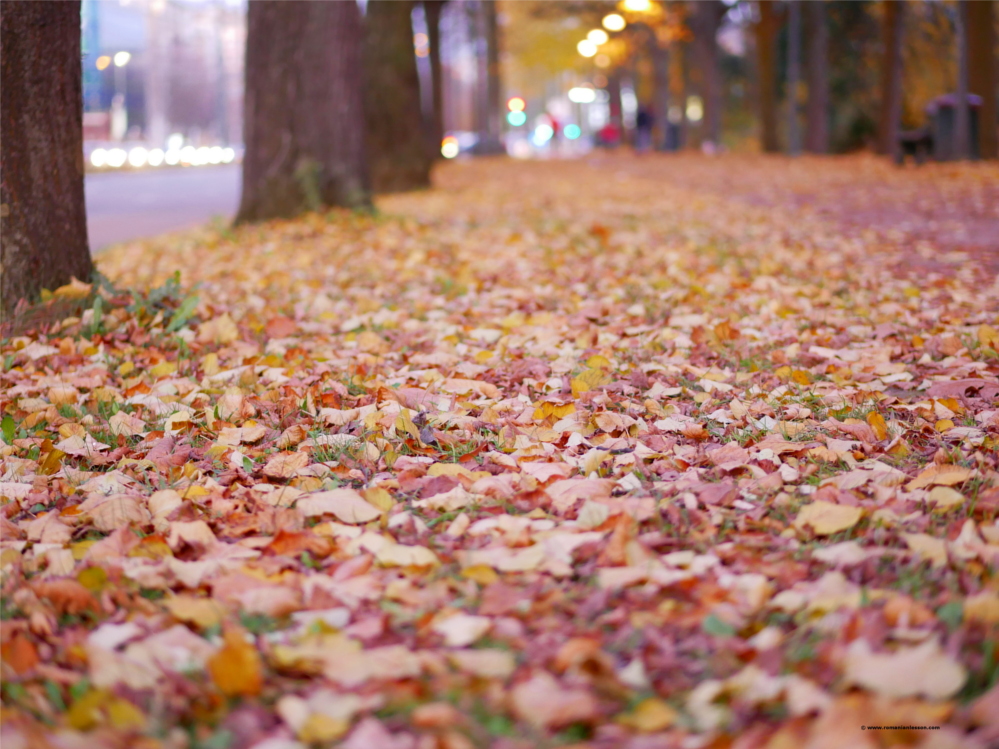 Climate of Romania - Seasons | Romanian Lesson