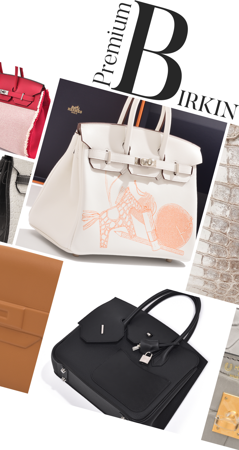 エレガンスを極めた存在感を放つ「プレミアムバーキン6選」 | エルメス