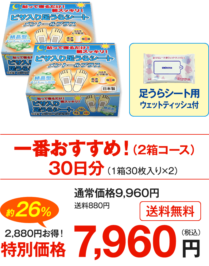 ビザ入り足うらシート メントールプラス｜レミントン公式サイト