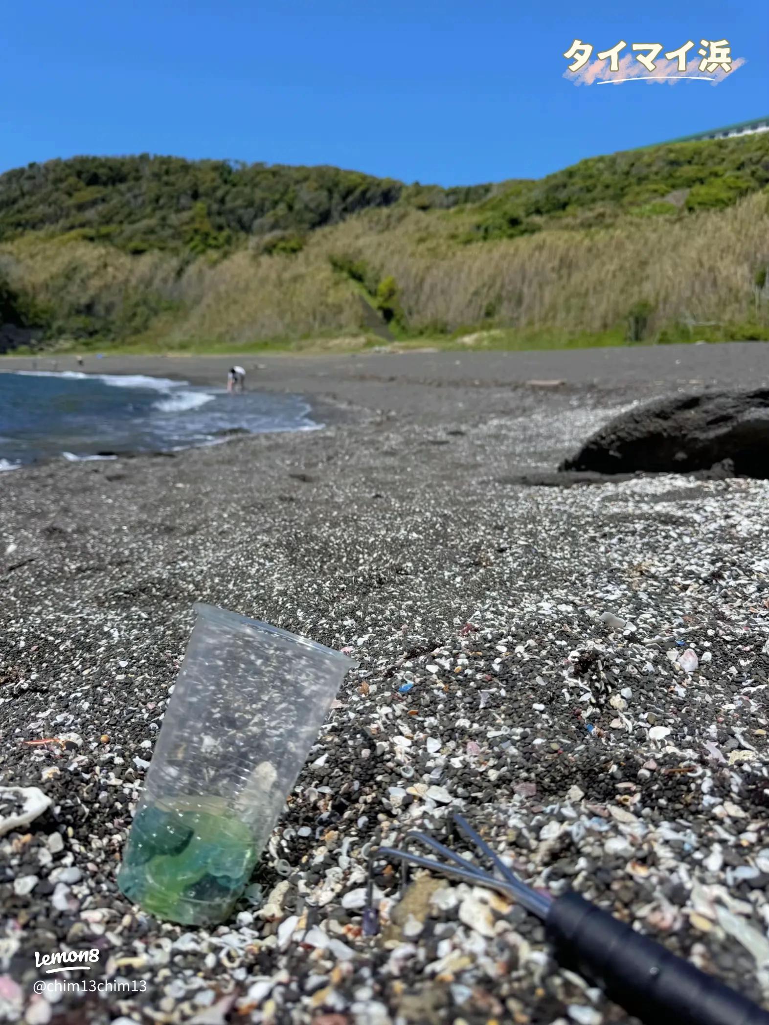 上半期おすすめ！千葉・神奈川のビーチコーミング穴場スポット3選と