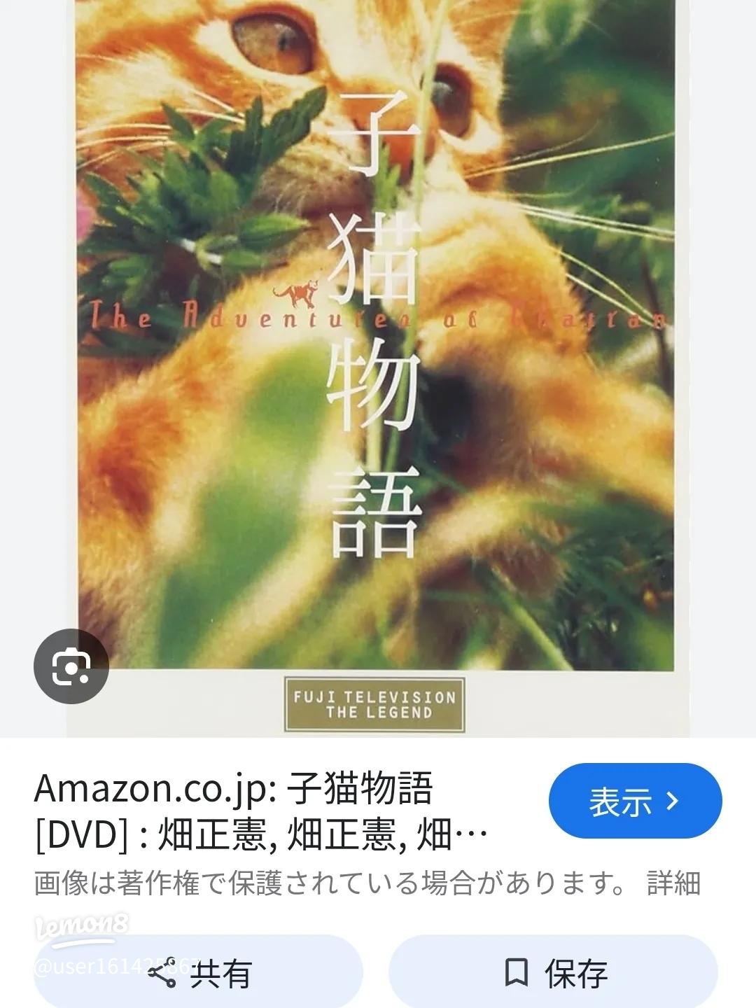 ムツゴロウ監督『子猫物語』と実話に触れるチャトランとチャーミーの