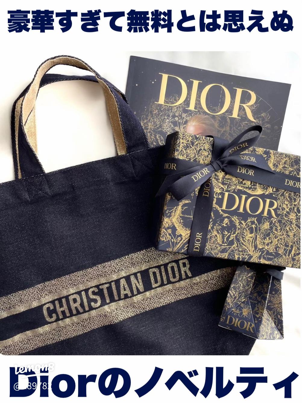 DIOR ディオールホルダー付 ル ボーム数量限定 ギフトバッグ 巾着 付き