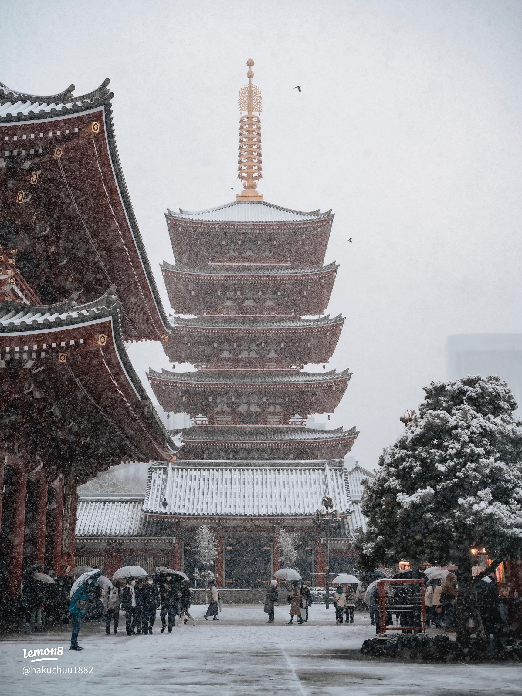 雪景色の浅草を楽しむ冬の訪問