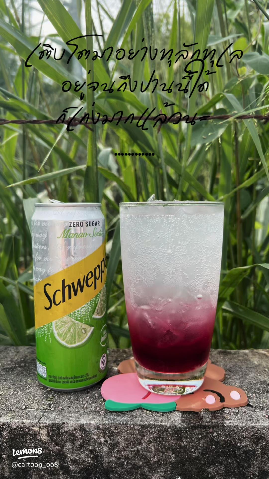 chill habit エナジードリンク＆スウィートメロン 収納ケース付き