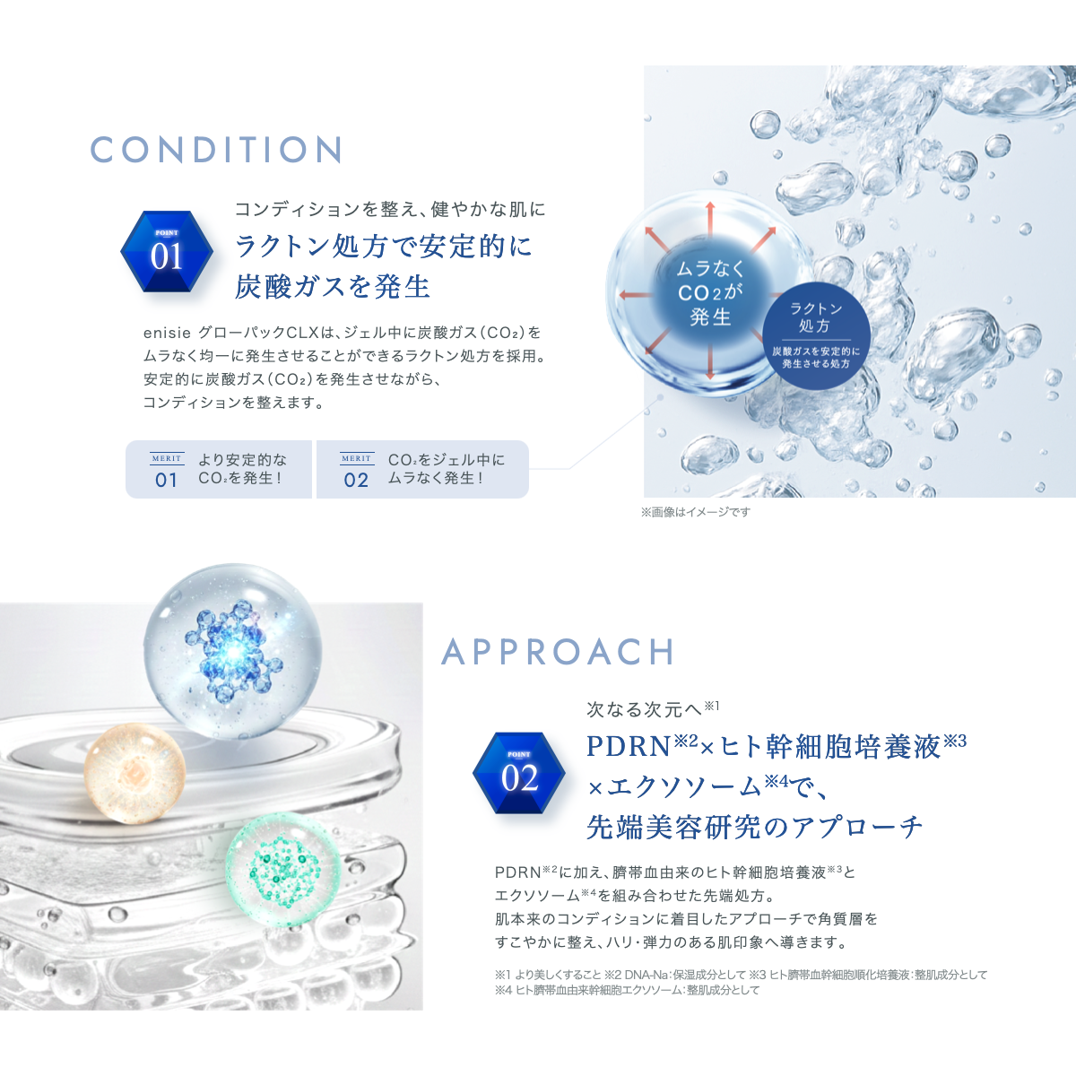 通販］エニシーグローパック CLX（先進型炭酸ガスパック）7個入