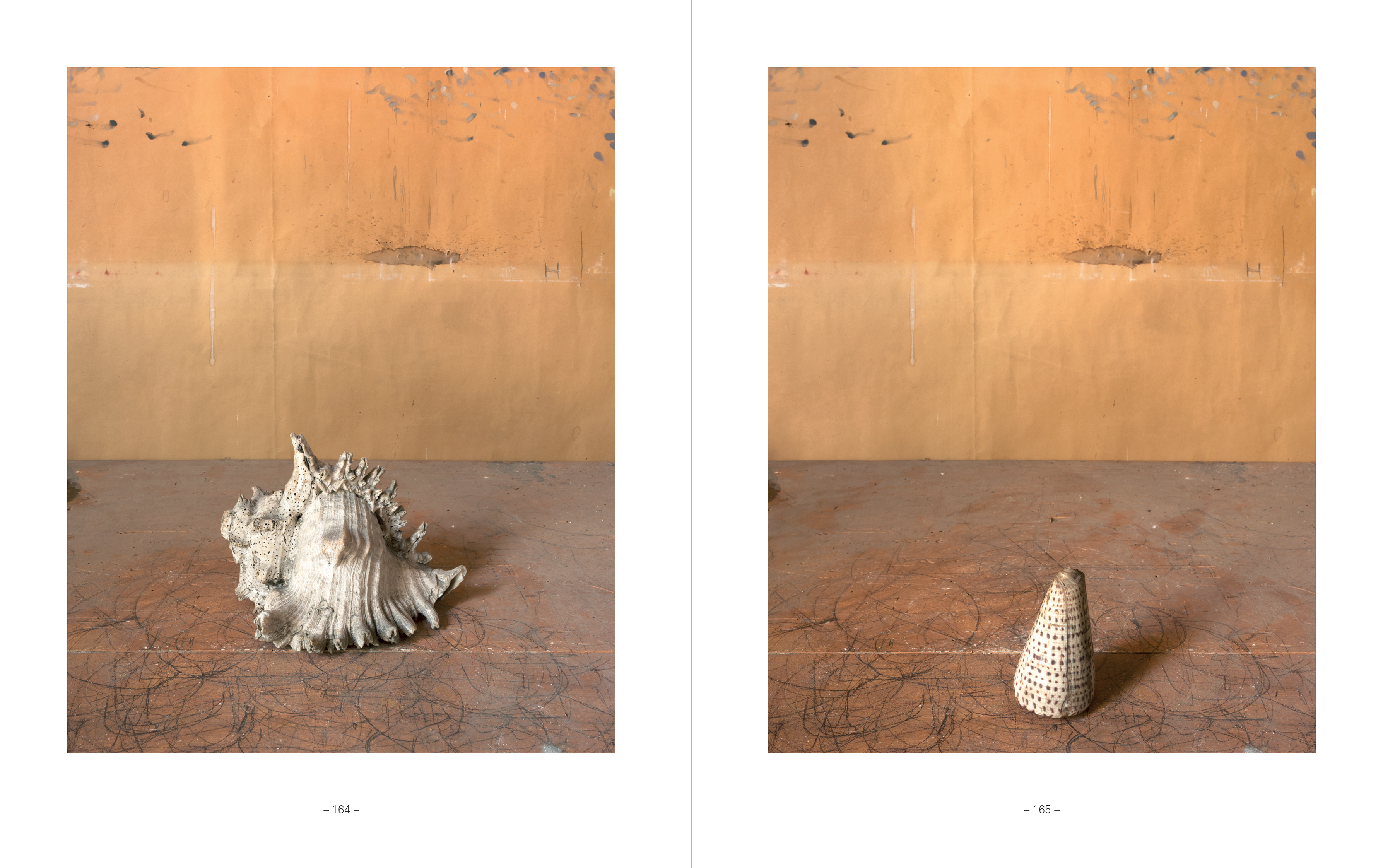 Joel Meyerowitz : Morandi's Objects - Les presses du réel (book)