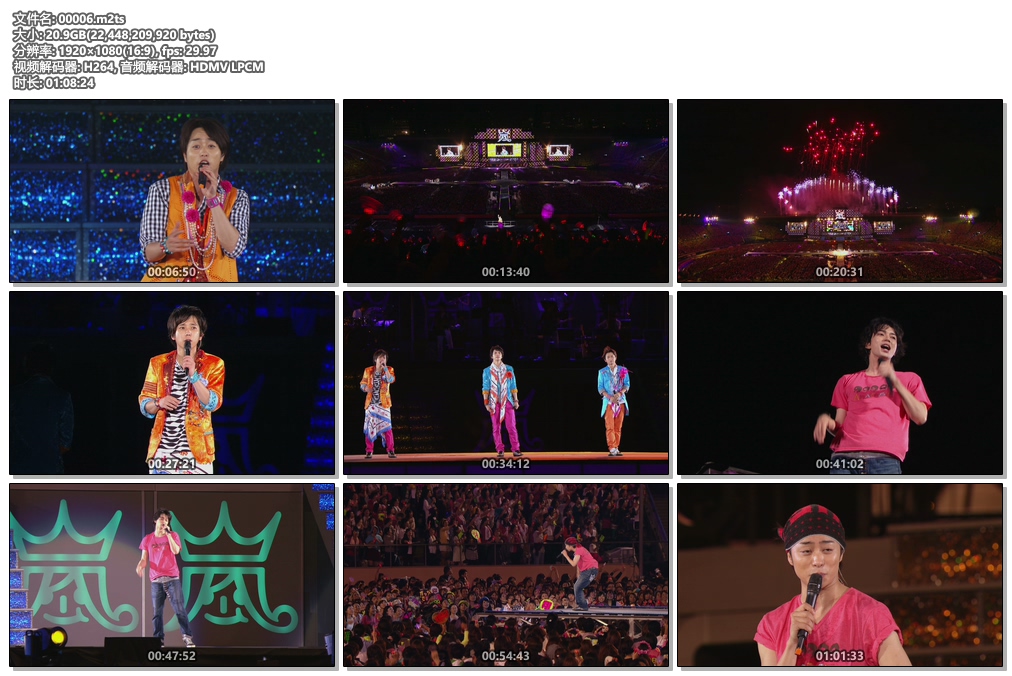 岚 ARAFES'13 国立体育馆演唱会 ARASHI ARAFES'13 NATIONAL STADIUM