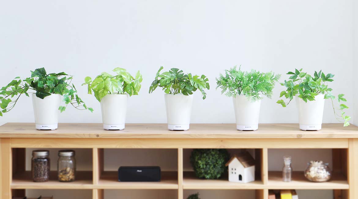 LITHON-GREEN AROMA MIST