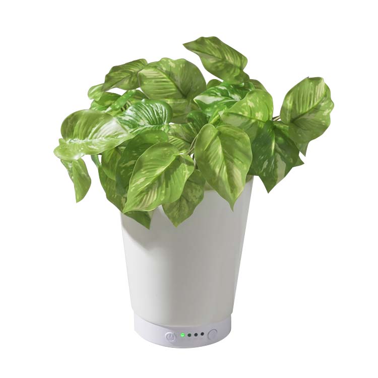 LITHON-GREEN AROMA MIST