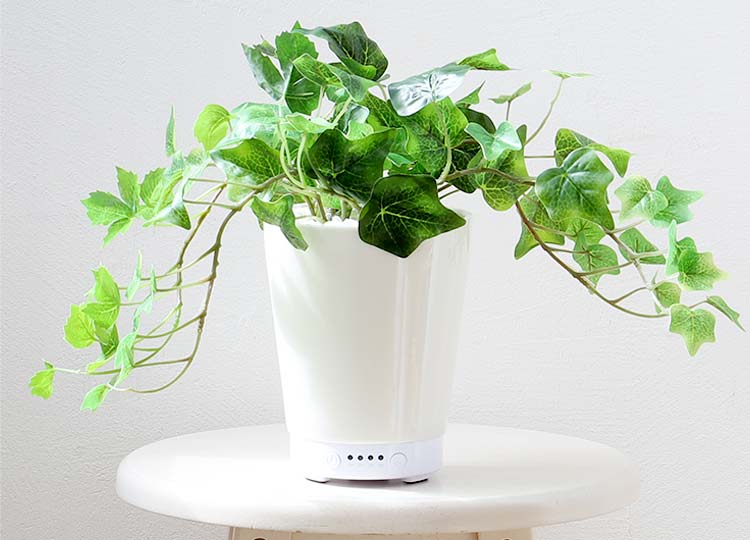 LITHON-GREEN AROMA MIST