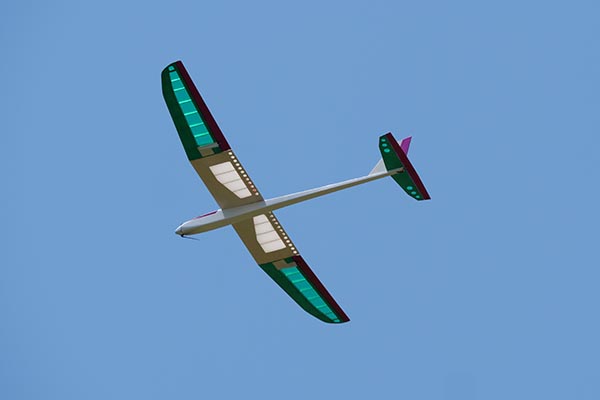 メーカー直送品】PILOT 小型モーターグライダー バジリコ DX(1.45m